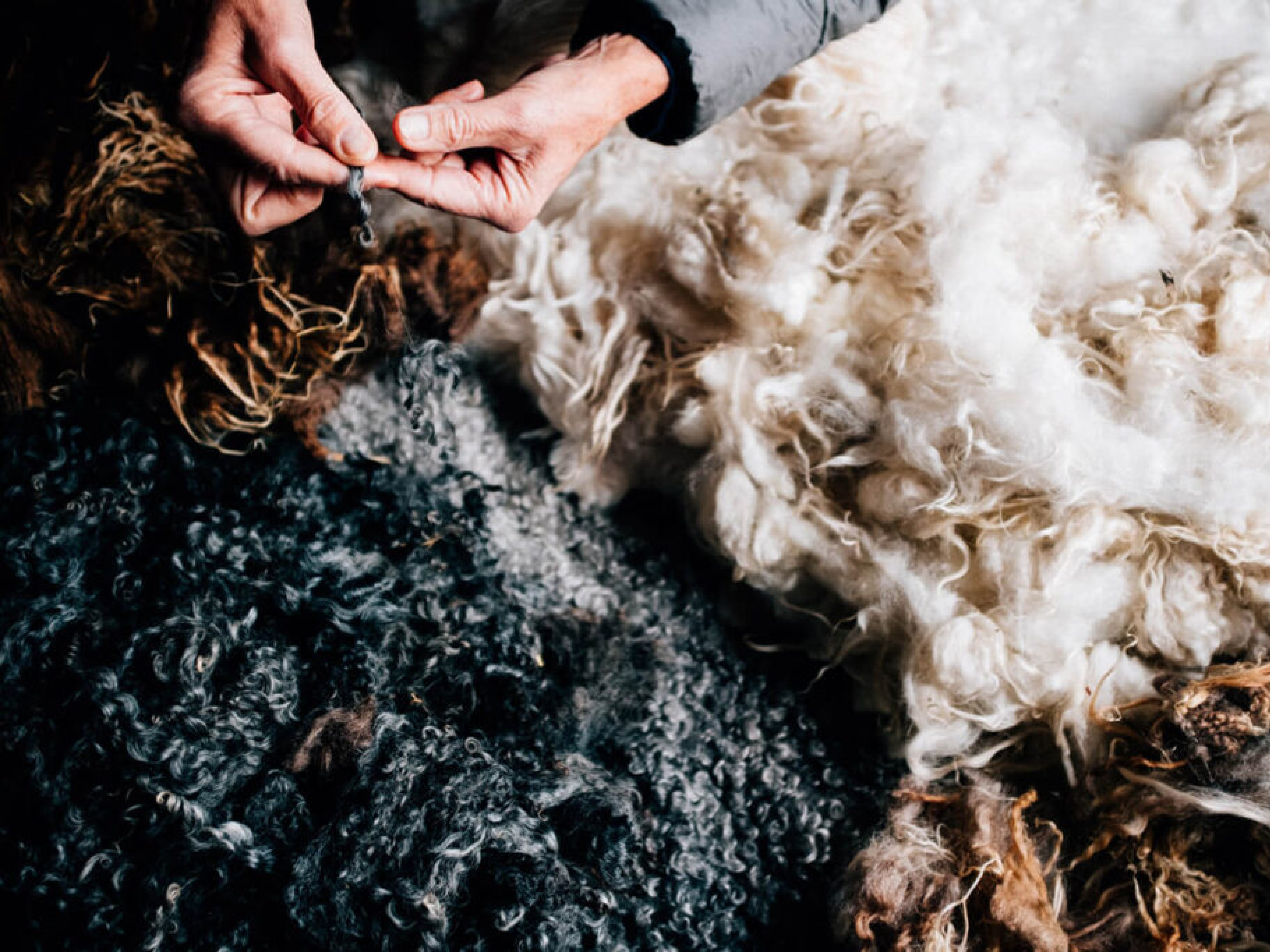 Swedish Wool